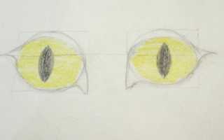 Как нарисовать глаза кота